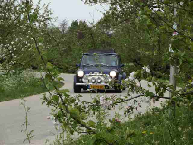 Mini in de Betuwe