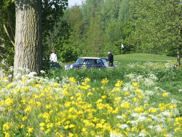 Dauwrit Classic Mini in gele bloemen