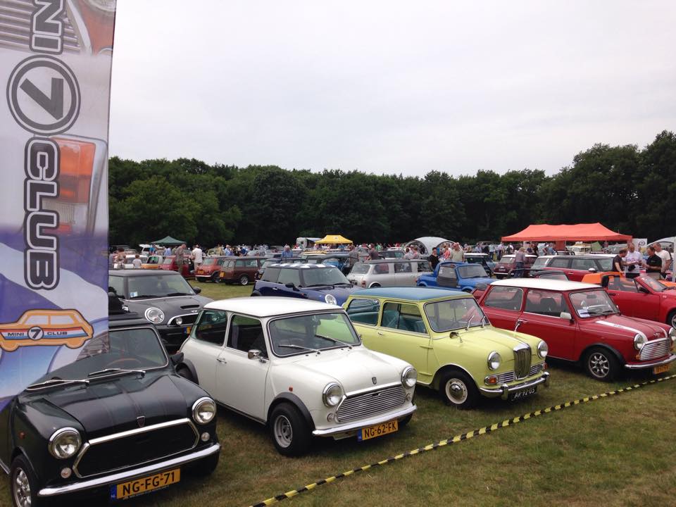 Autojumble, Mini's in het park