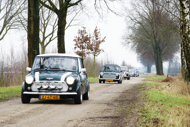 Limburgrit, Classic Mini's achter elkaar