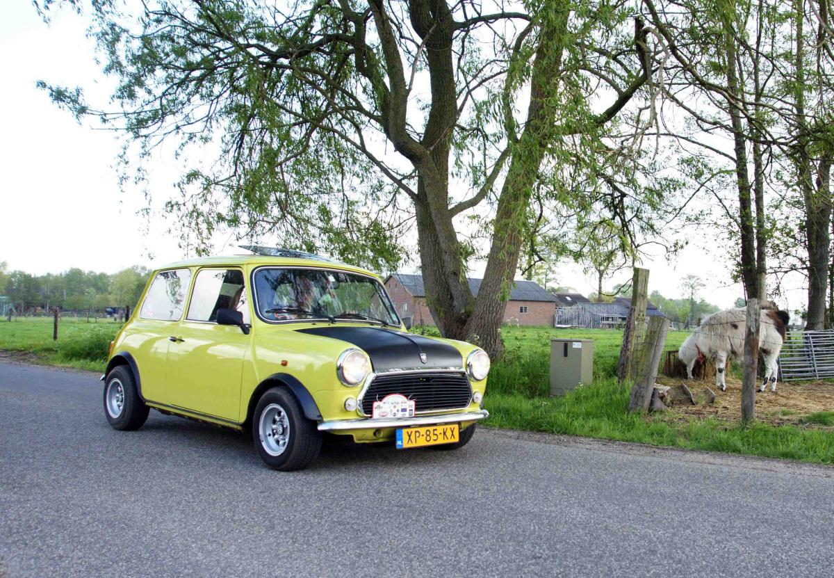 Mr. Bean Mini