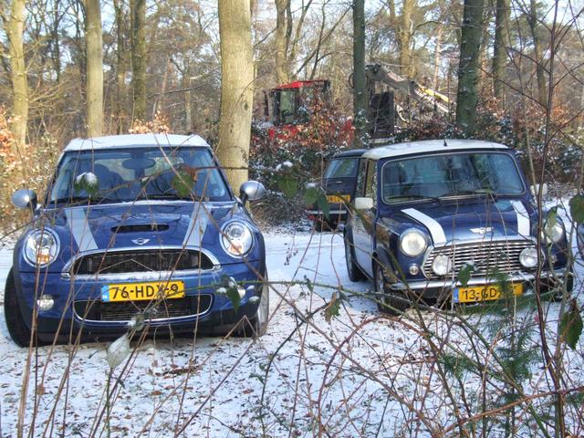 Mini's in de sneeuw