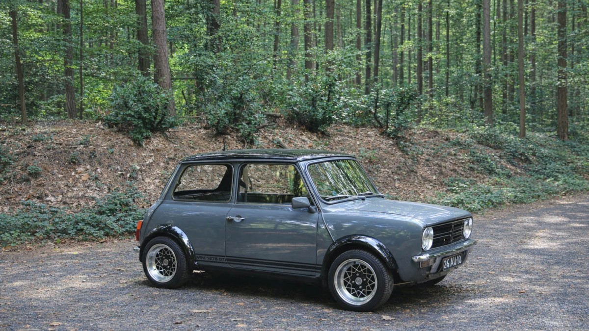 Grijze Mini Innocenti in het bos