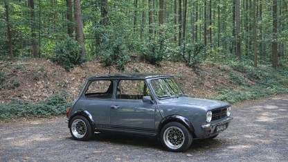 Grijze Mini Innocenti in het bos