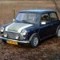 Project Mini 1000