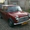 Gifgroene mini in Hoogwoud