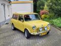 mini van 1981 , 65500km, 